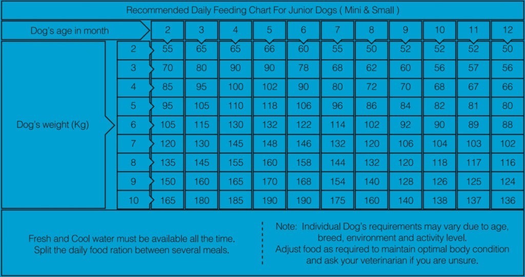 جدول مصرف غذای سگ جونیور نژاد کوچک وودو