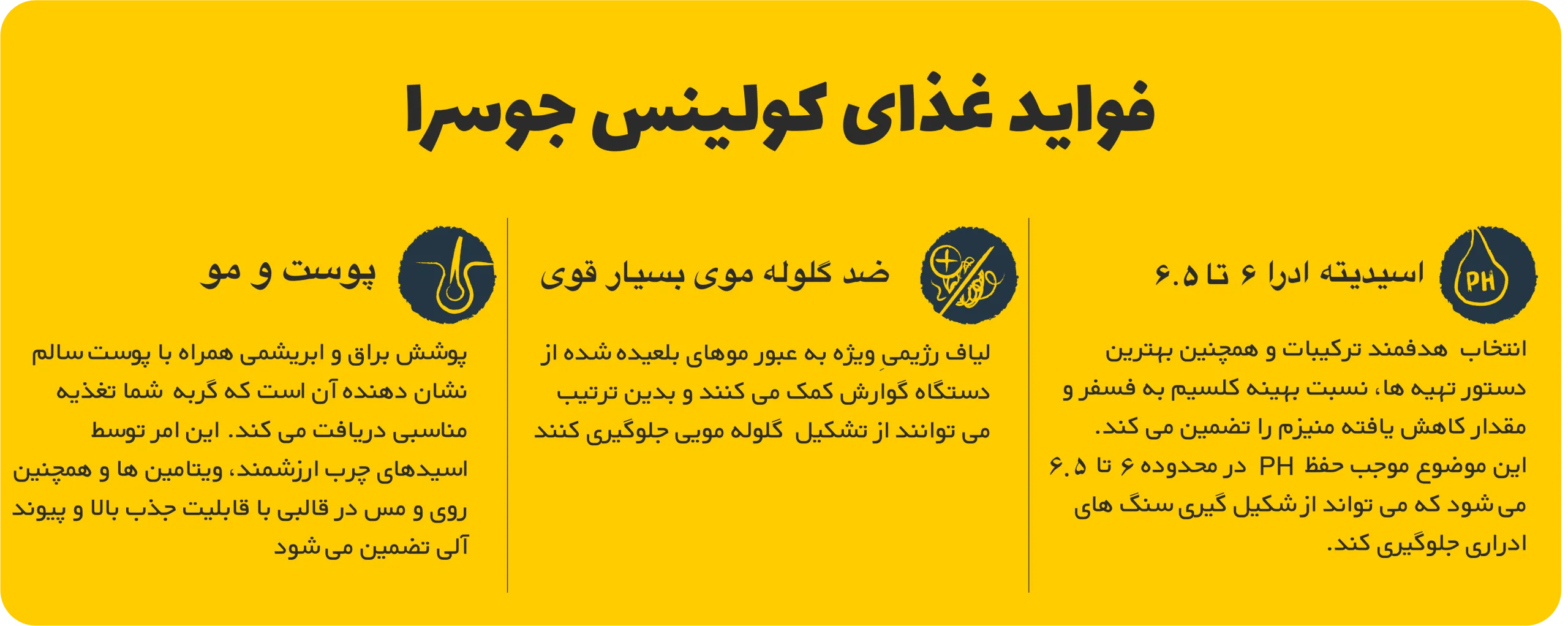 فواید غذای جوسرا کولینس