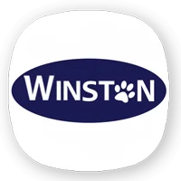 وینستون