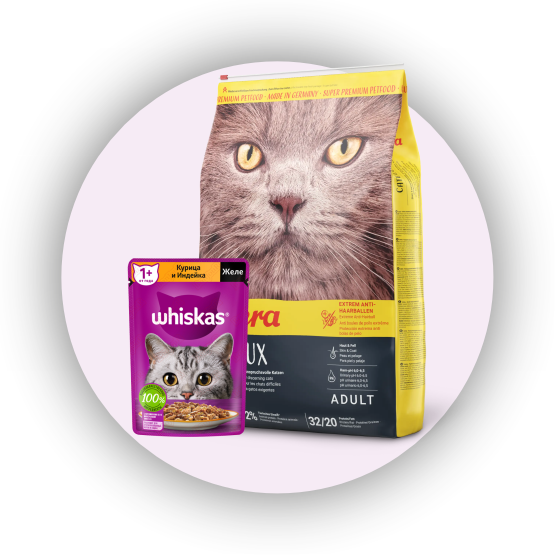 promotion-categories