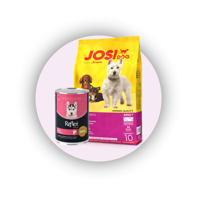 promotion-categories