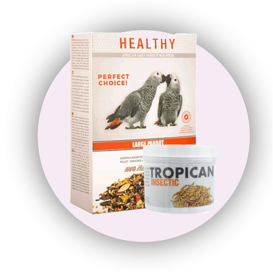 promotion-categories