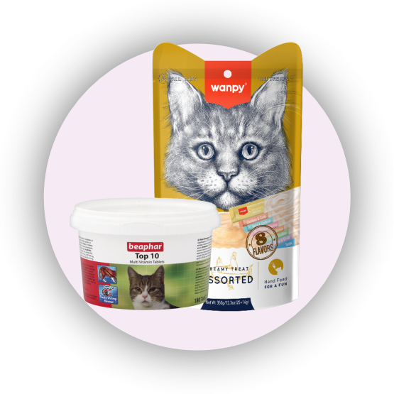 promotion-categories