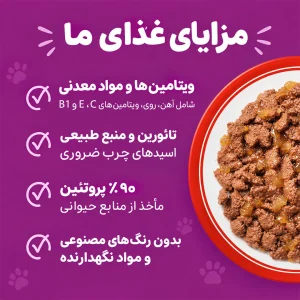 پوچ گربه بره ویسکاس