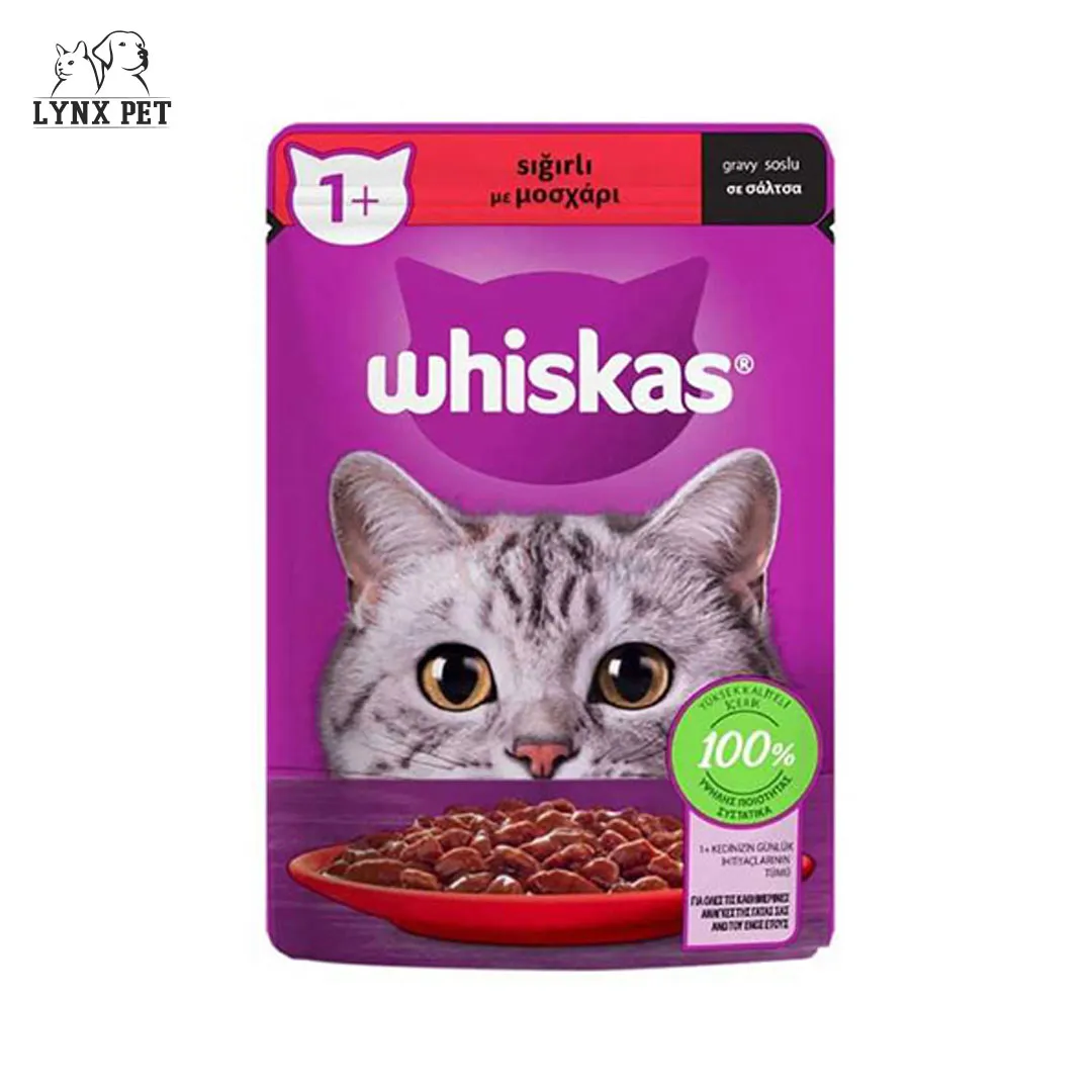 پوچ گربه گوشت گاو ویسکاس