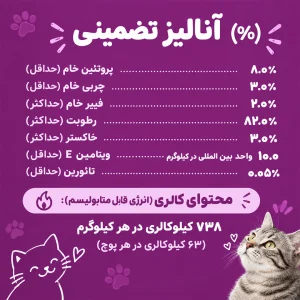 پوچ گربه گوشت گاو ویسکاس