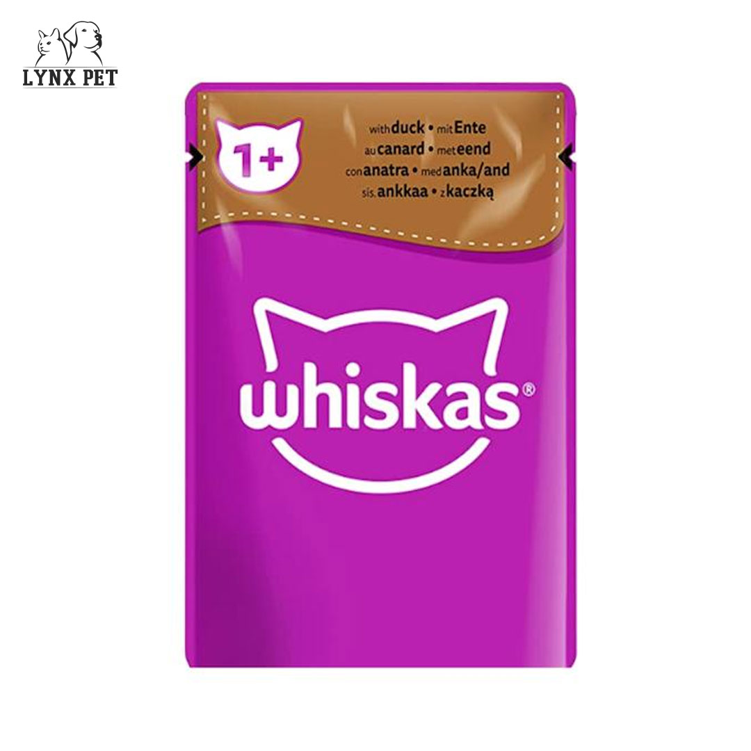 پوچ گربه بالغ اردک در ژله ویسکاس