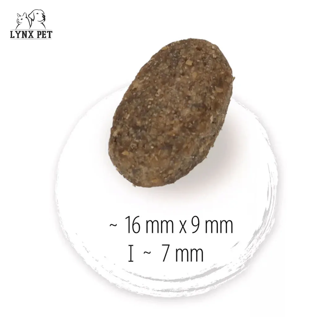 دانه غذا سگ نیچرکراک بره و برنج هپی داگ