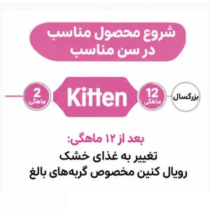 سن مصرف پوچ گربه کیتن رویال کنین