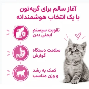 ویژگی های پوچ کیتن رویال کنین