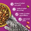 فواید غذای گربه بالغ مرغ ویسکاس