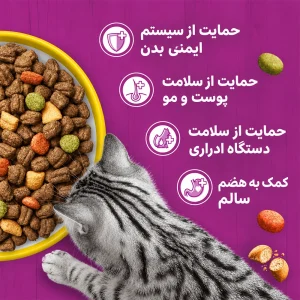 فواید غذای گربه بالغ مرغ ویسکاس