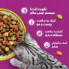 غذای گربه بره ویسکاس - تصویر 4