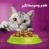 محتویات غذای خشک بره ویسکاس