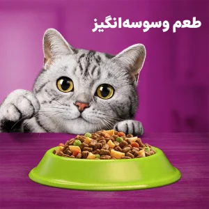 محتویات غذای خشک بره ویسکاس