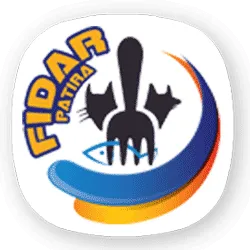 فیدار